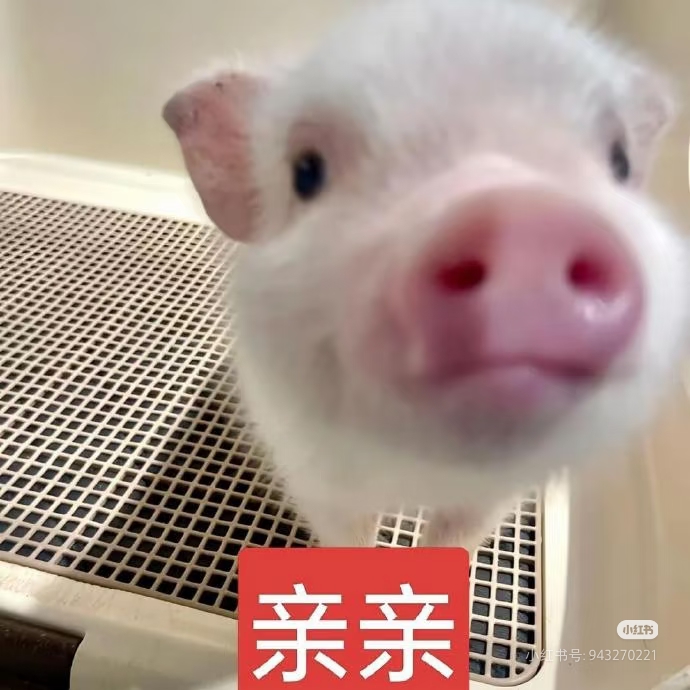 Camera_1040g34o323dkbmme72kg49vvfacpo0pii20gop8.jpg