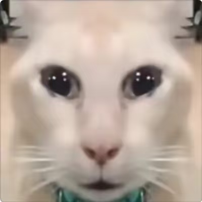 1000089940.png