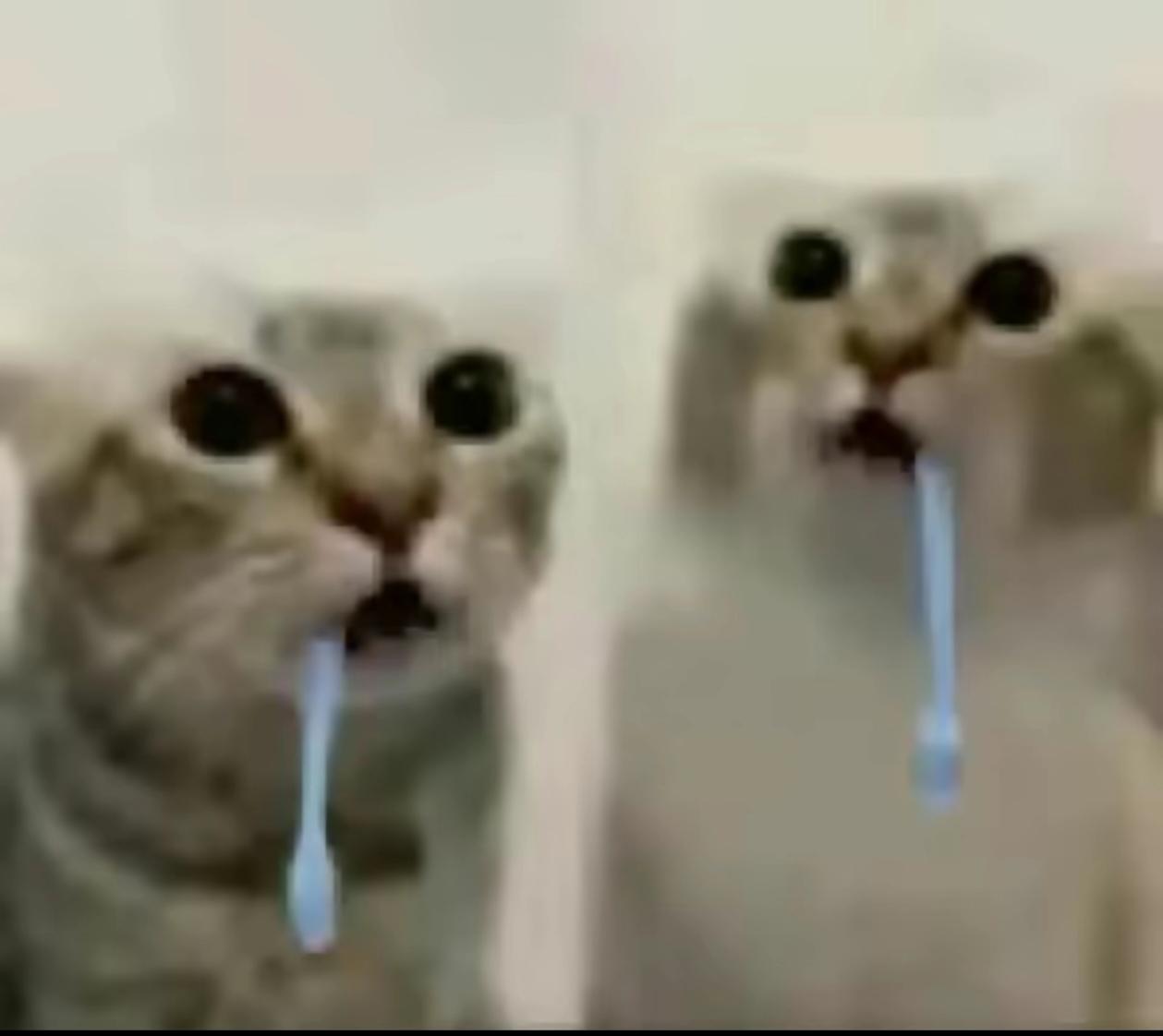 1788118354864.png