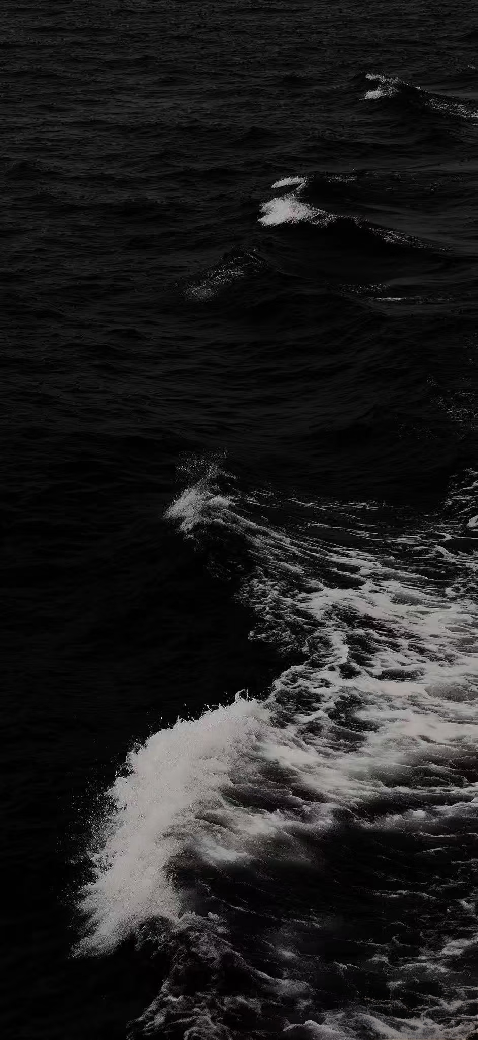 Image_1788188351665_141.jpg