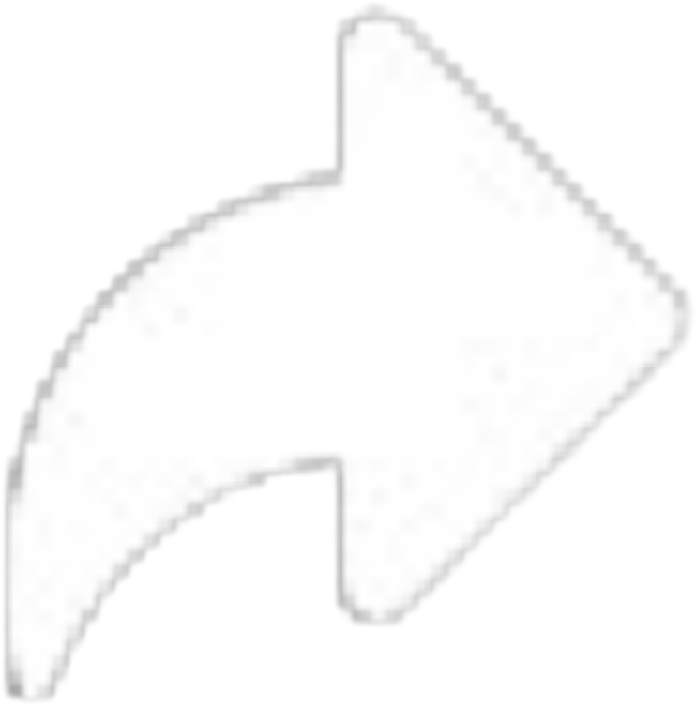 IMG_1944.png