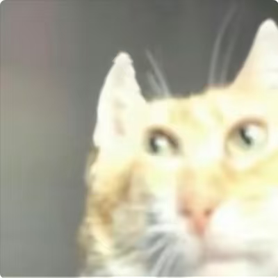 1000089942.png