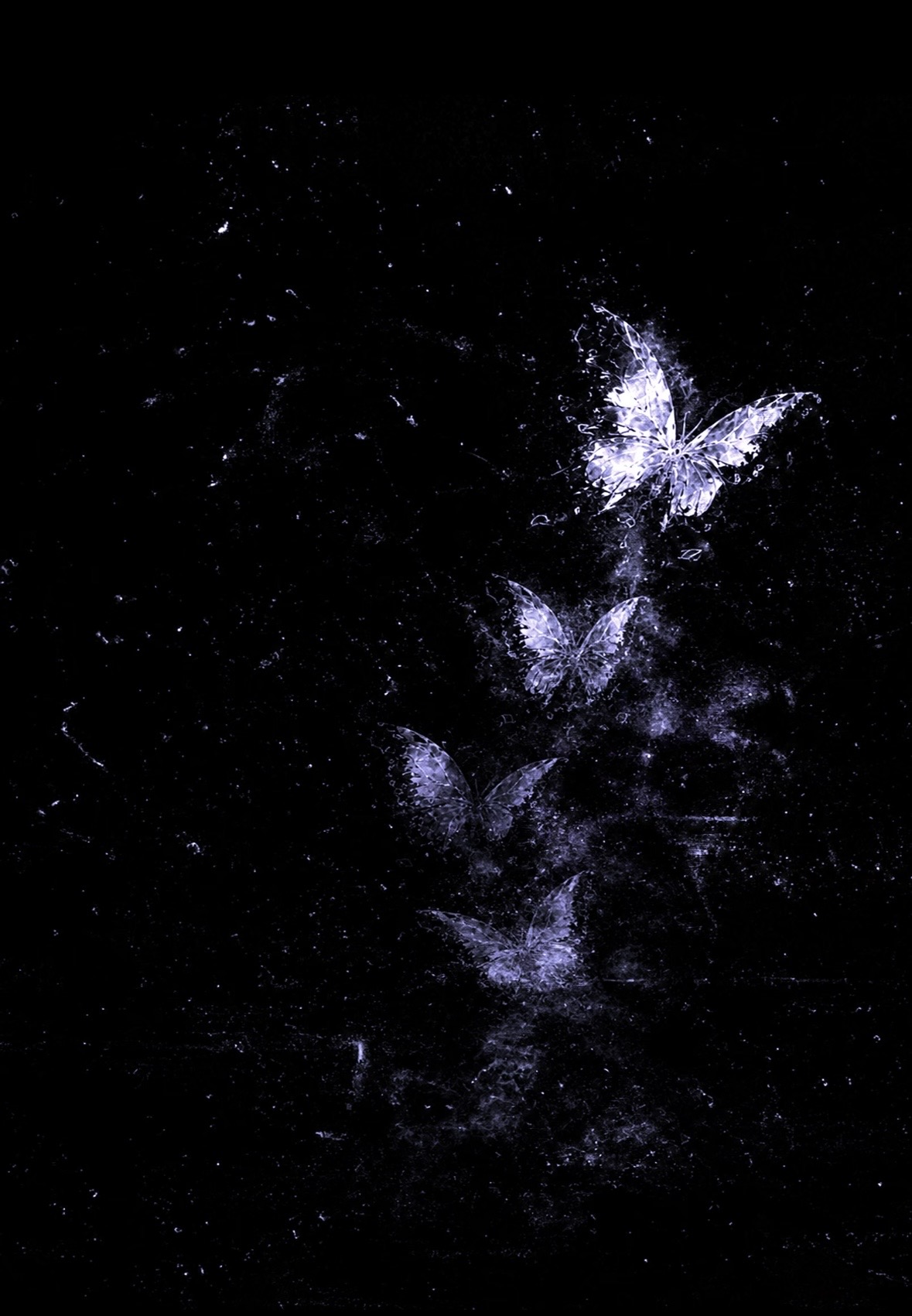 IMG_1528.jpeg