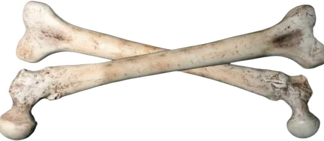 10687.png