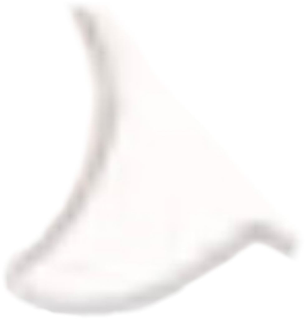 IMG_2148.png