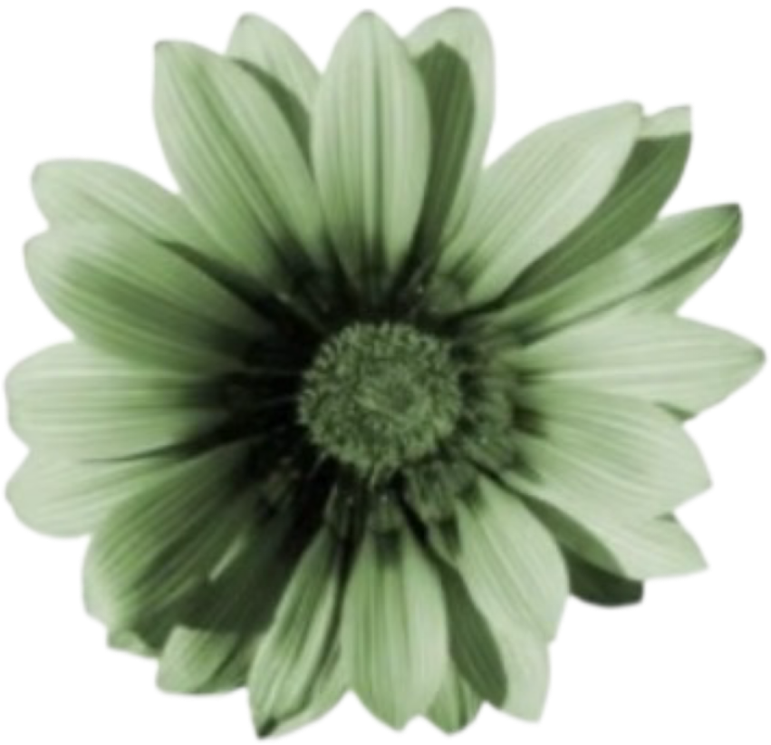 IMG_1399.png