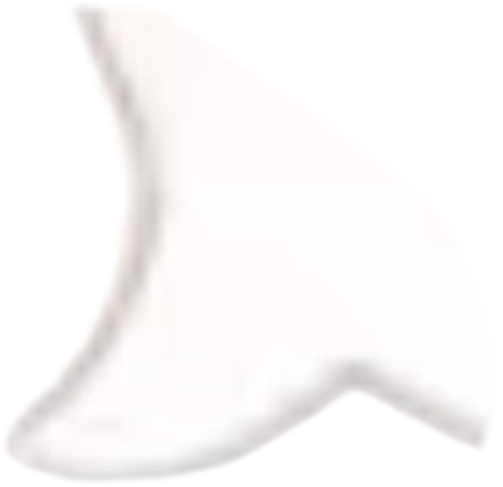 IMG_2149.png