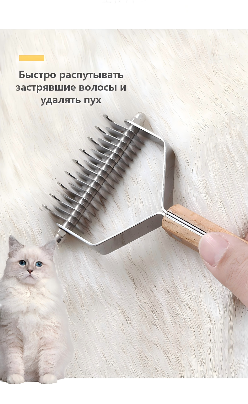 17879092587037.png