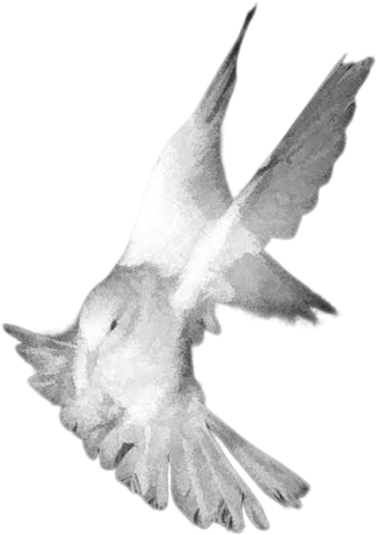 20752.png