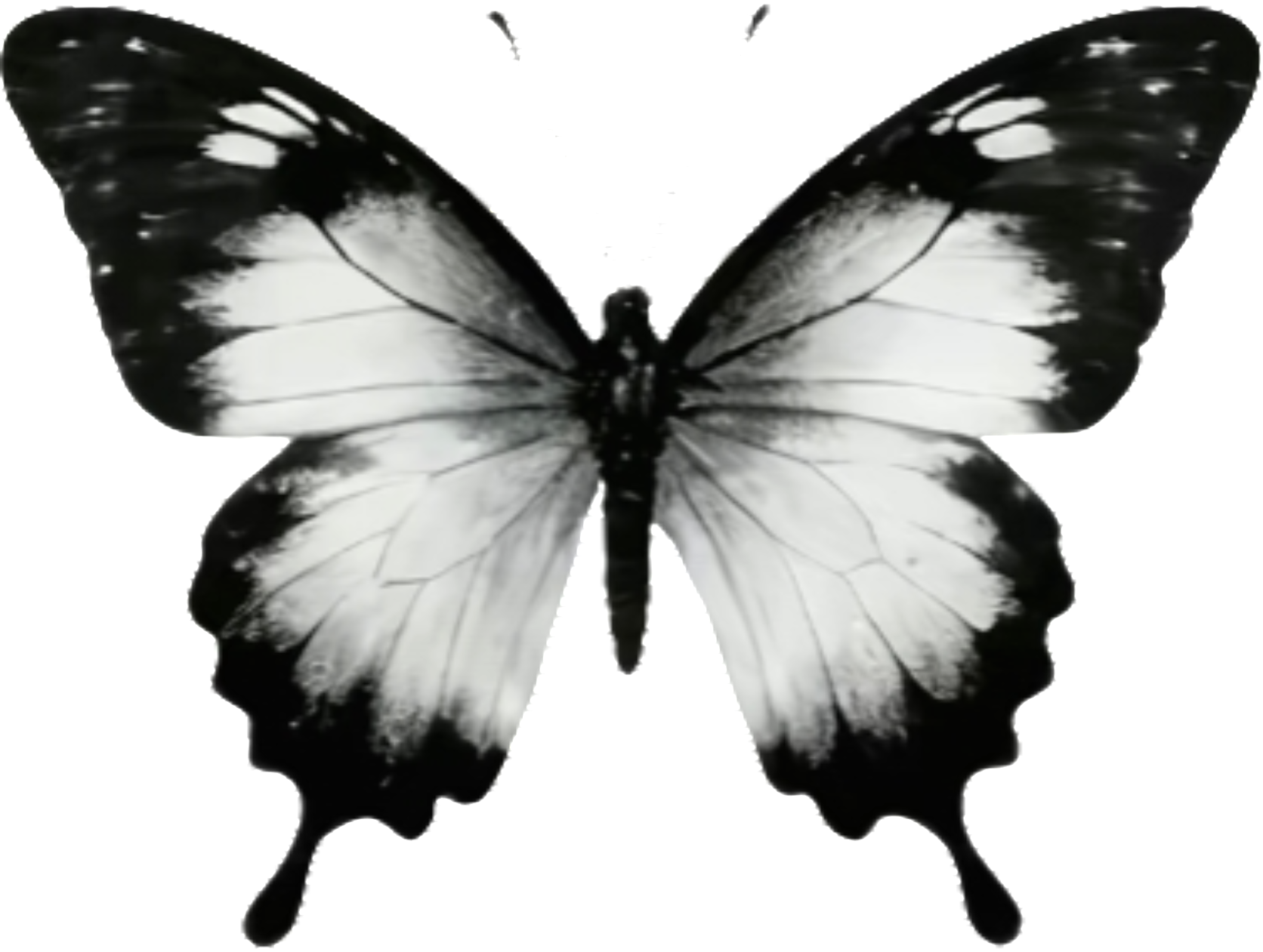 retouch_2026090218051182.png