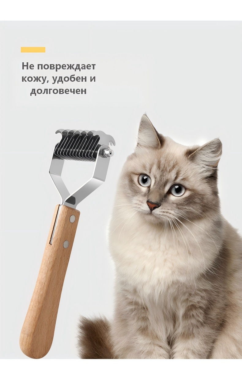 17879092588749.png