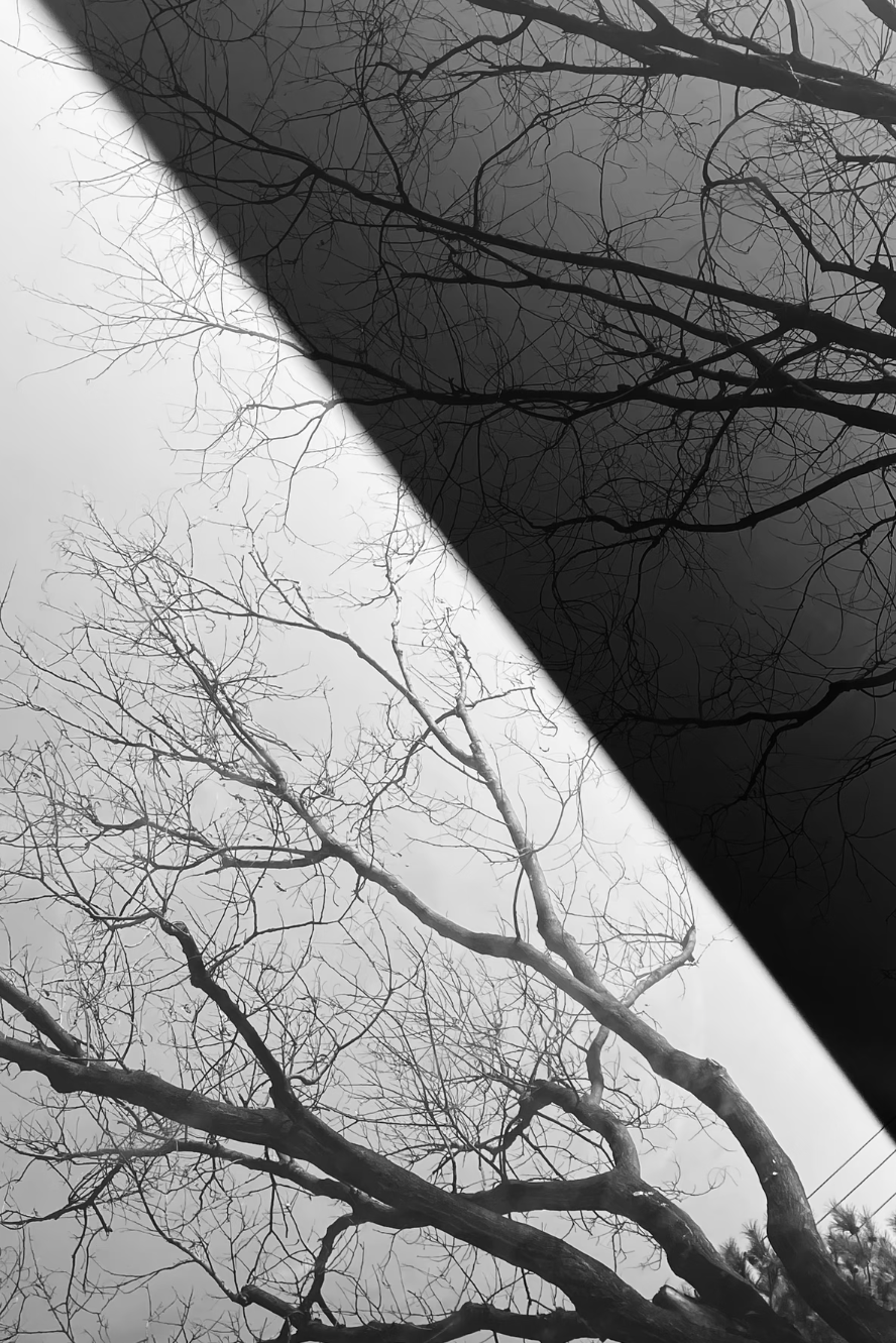 Screenshot_2026_0902_191709.png