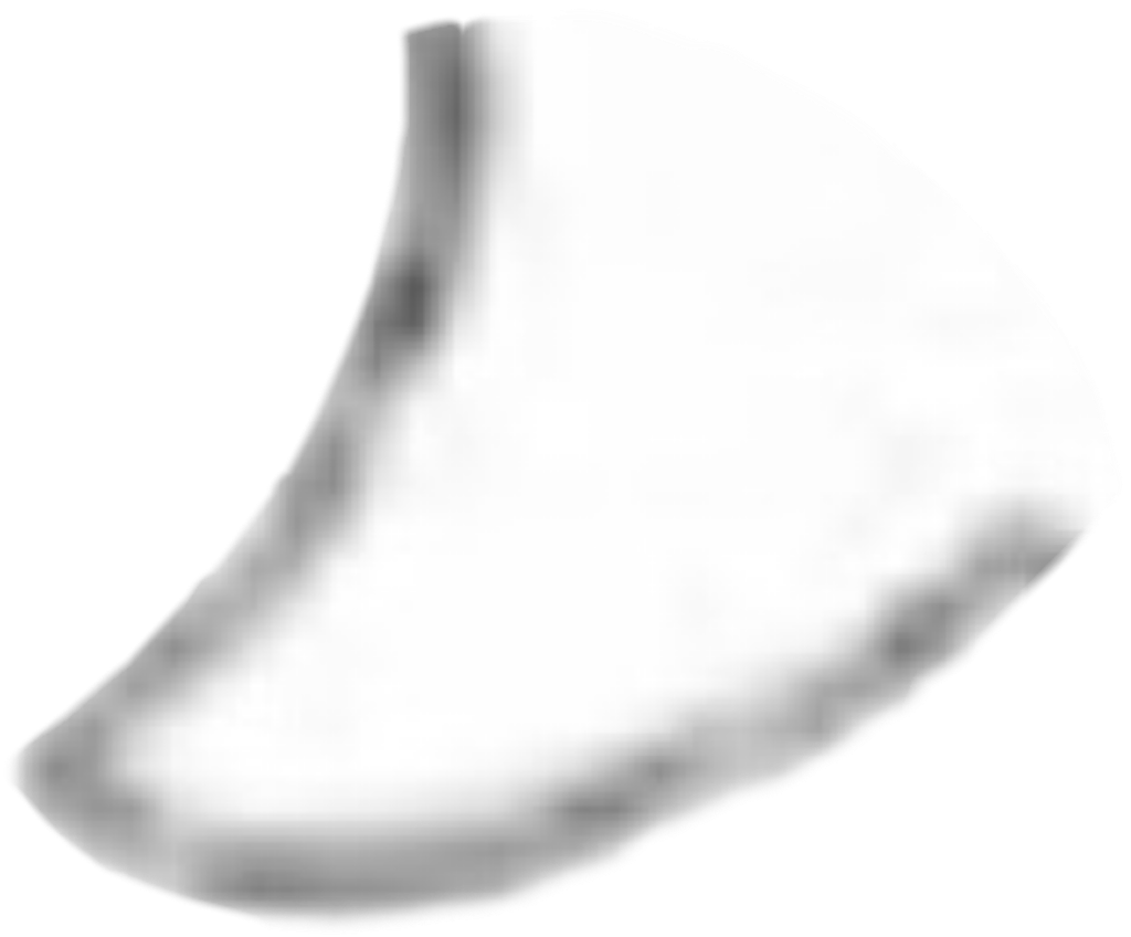 IMG_2156.png