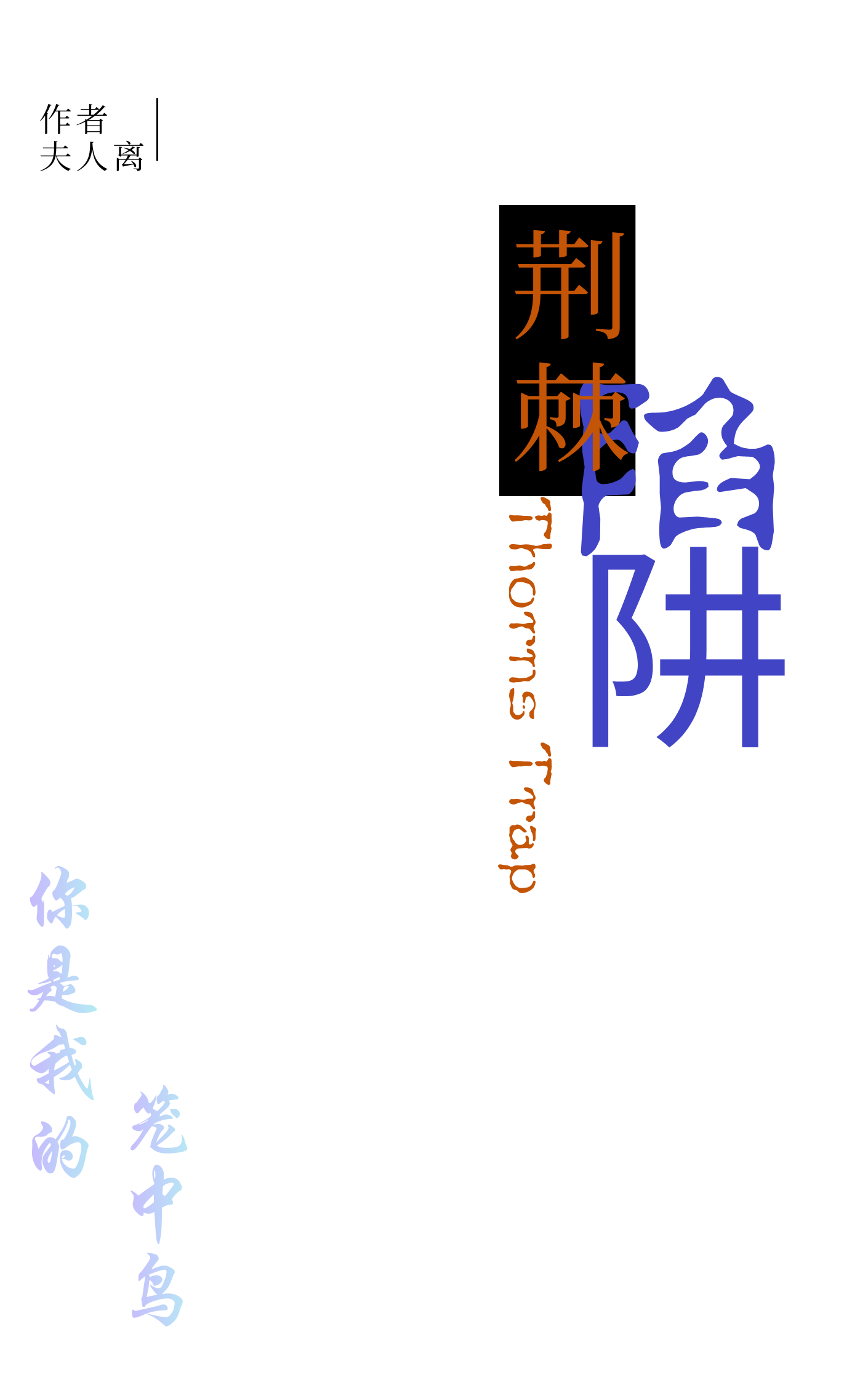 橙色纹理插画文艺小说书籍封面_20260902_001137_0000.png