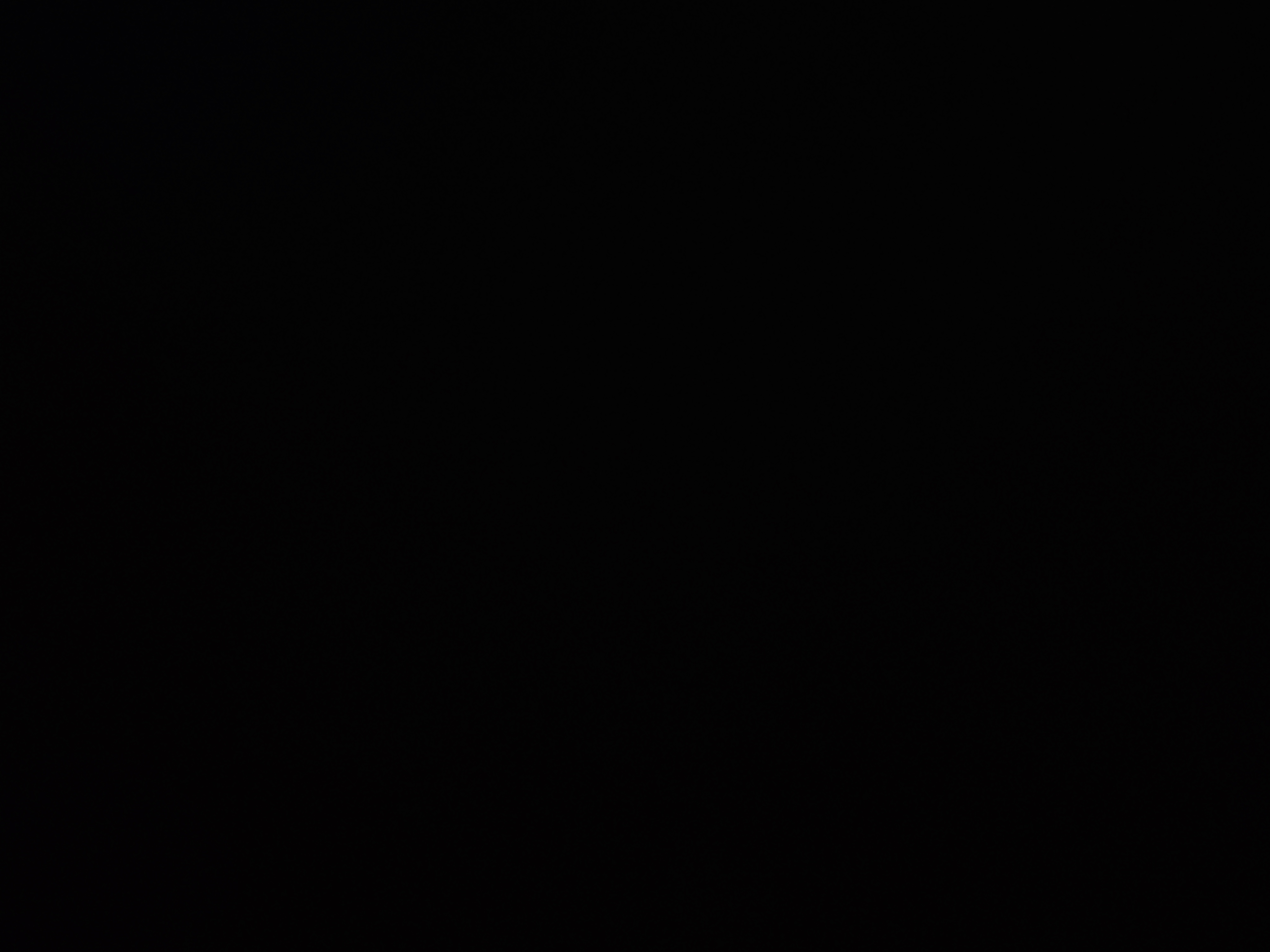 1788337062848.jpg