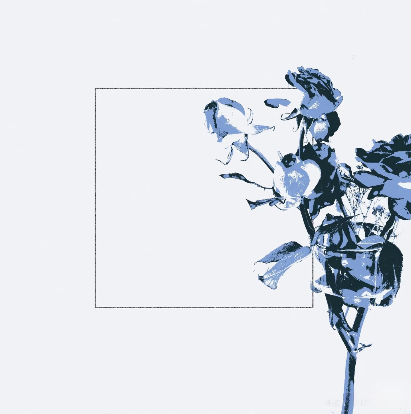 Camera_XHS_17883092065641040g00831ed9dfdl0m605p63jf9jkm6o7h68bv8_edit_807212428360160.jpg