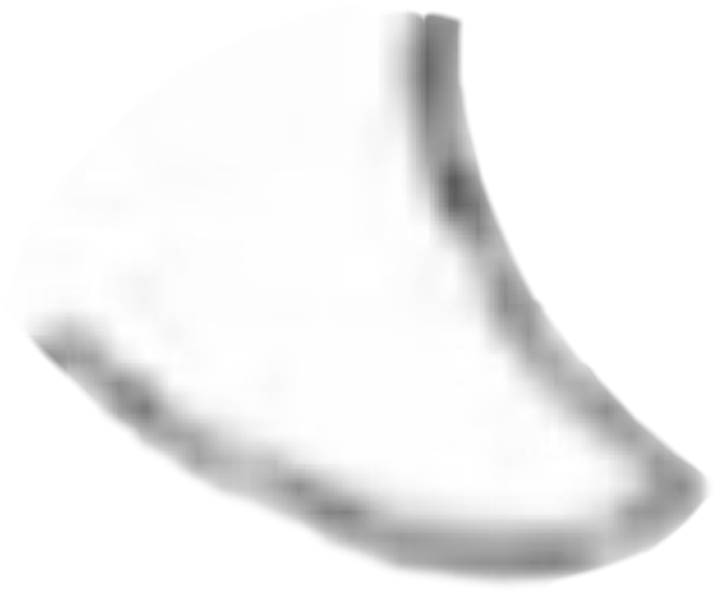 IMG_2206.png