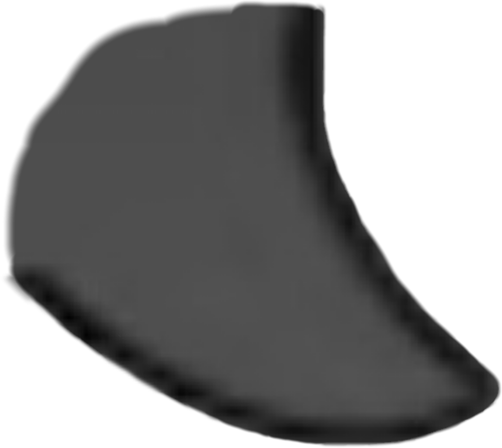 IMG_2209.png