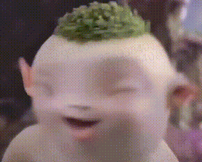20260903-132748.gif