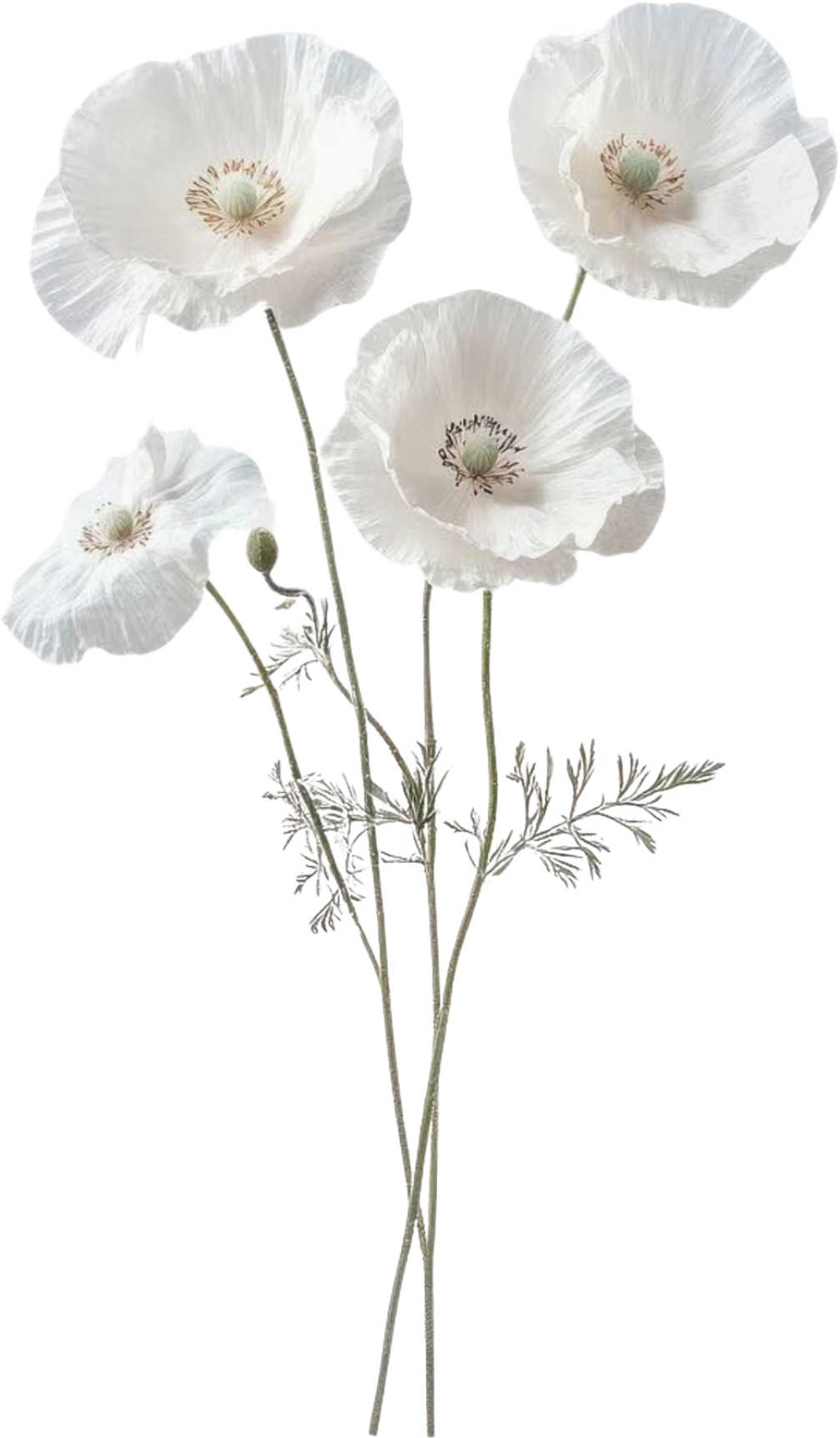 retouch_2026090310293212.png
