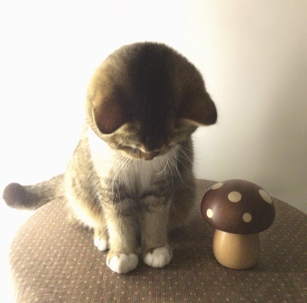 IMG_3885.jpeg