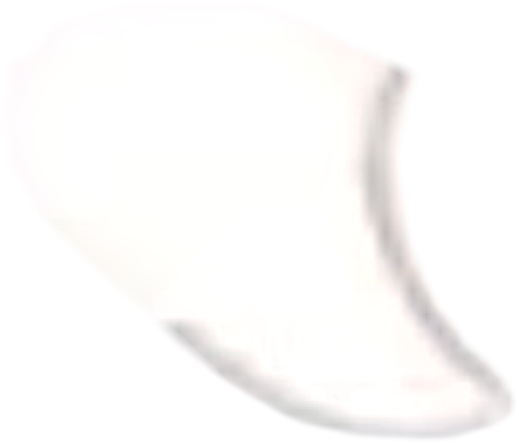 IMG_2205.png
