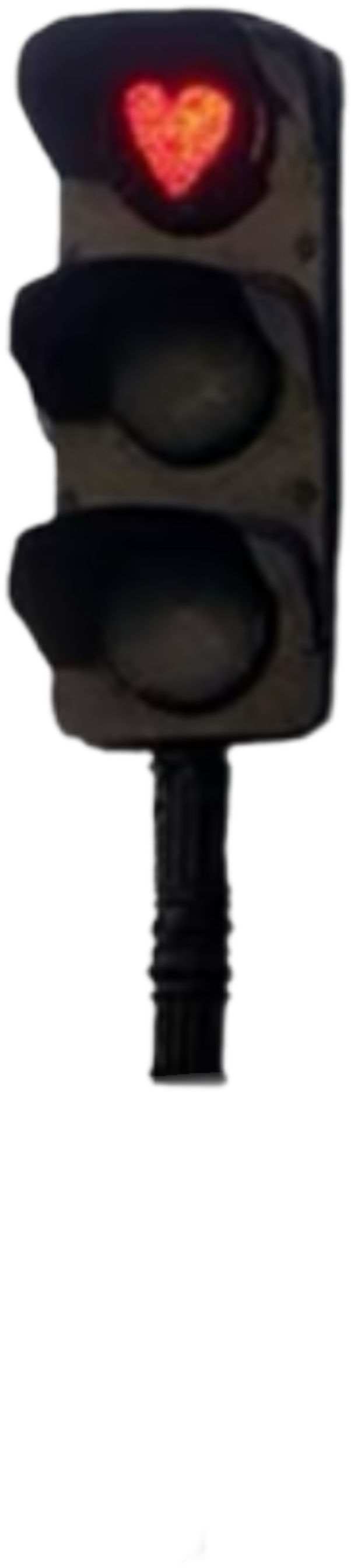 IMG_1556.png