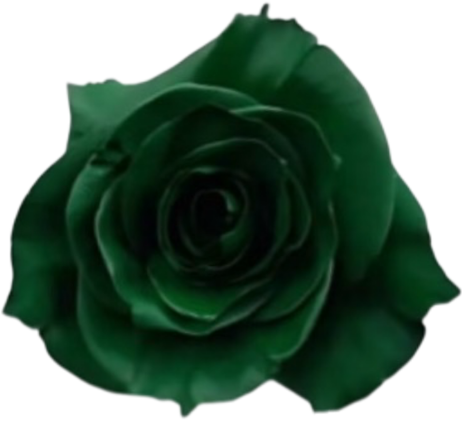 IMG_1398.png