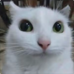 1000090072.png