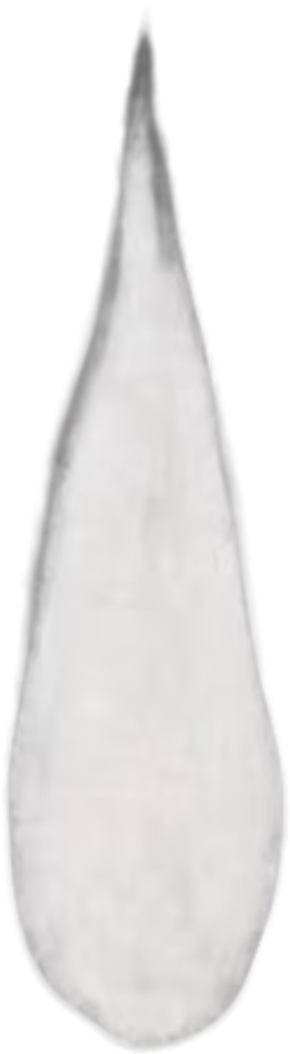 retouch_2026090311070044.png