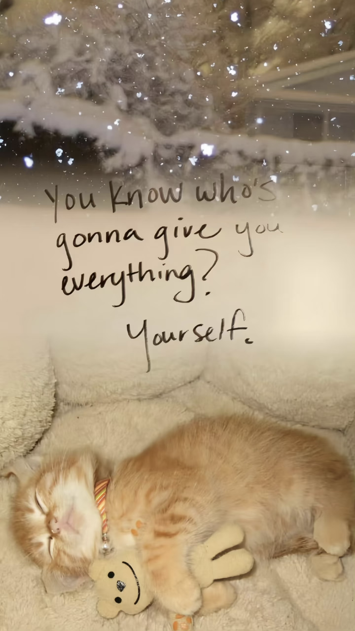 IMG_20260903_115625.png