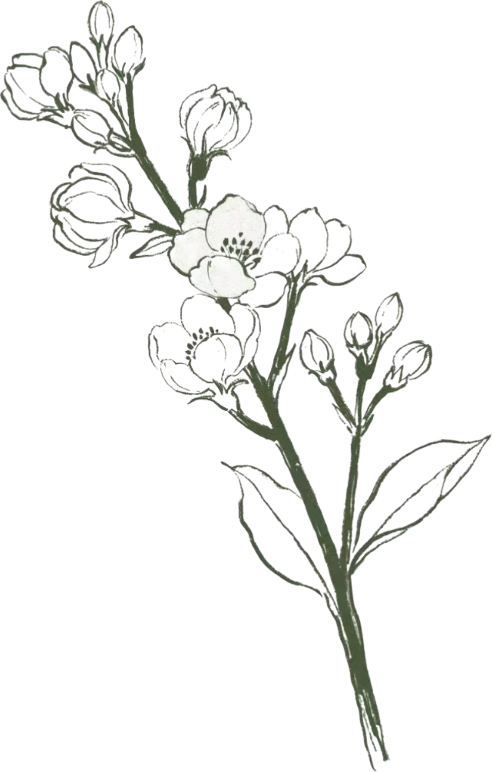 retouch_2026090320244378.png