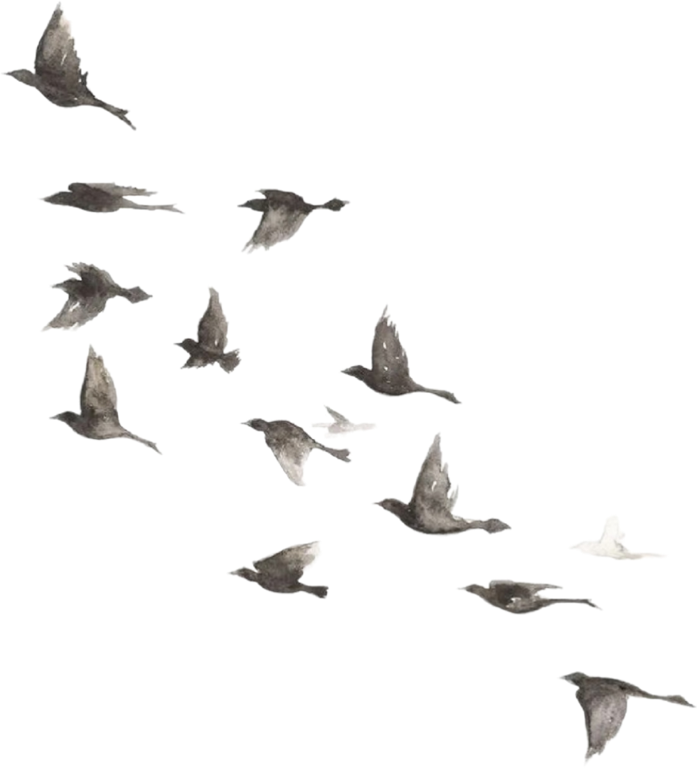 retouch_2026090417153595.png