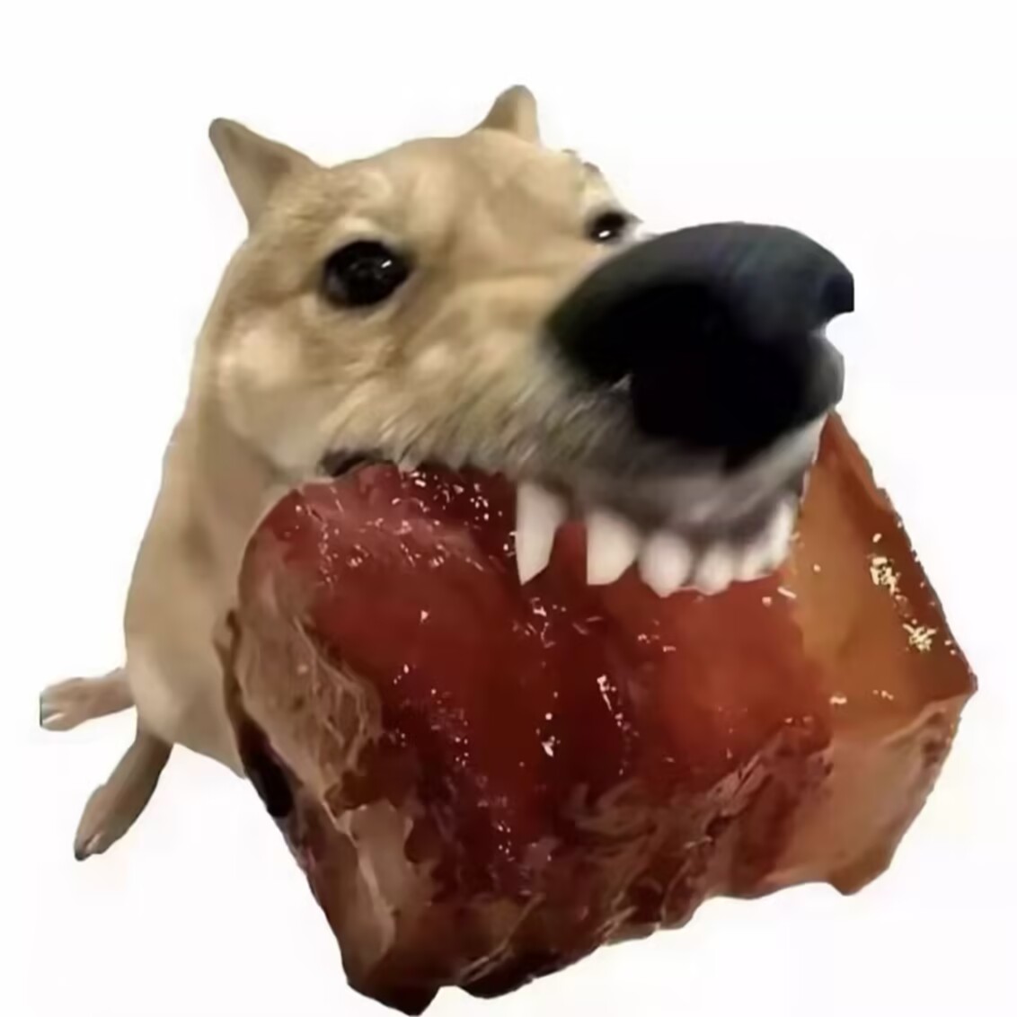 550b46d9c08bd1c529b28b2524548e0e.jpg
