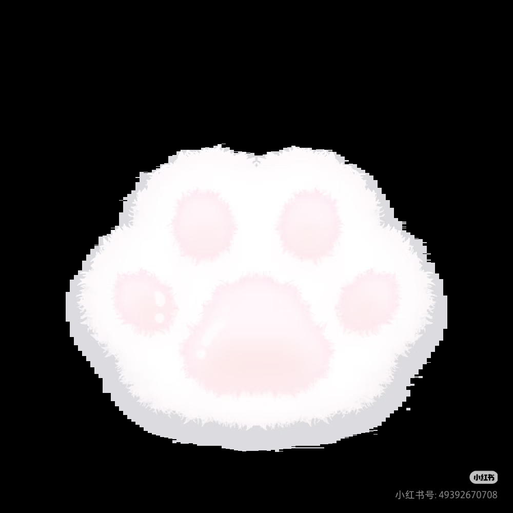 Camera_XHS_17885325847111040g00831b0s1i3pmm005pdj66q3geu6cqk38io.jpg