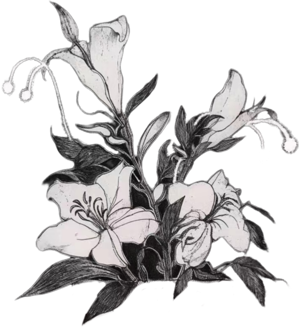 retouch_2026090501344364.png