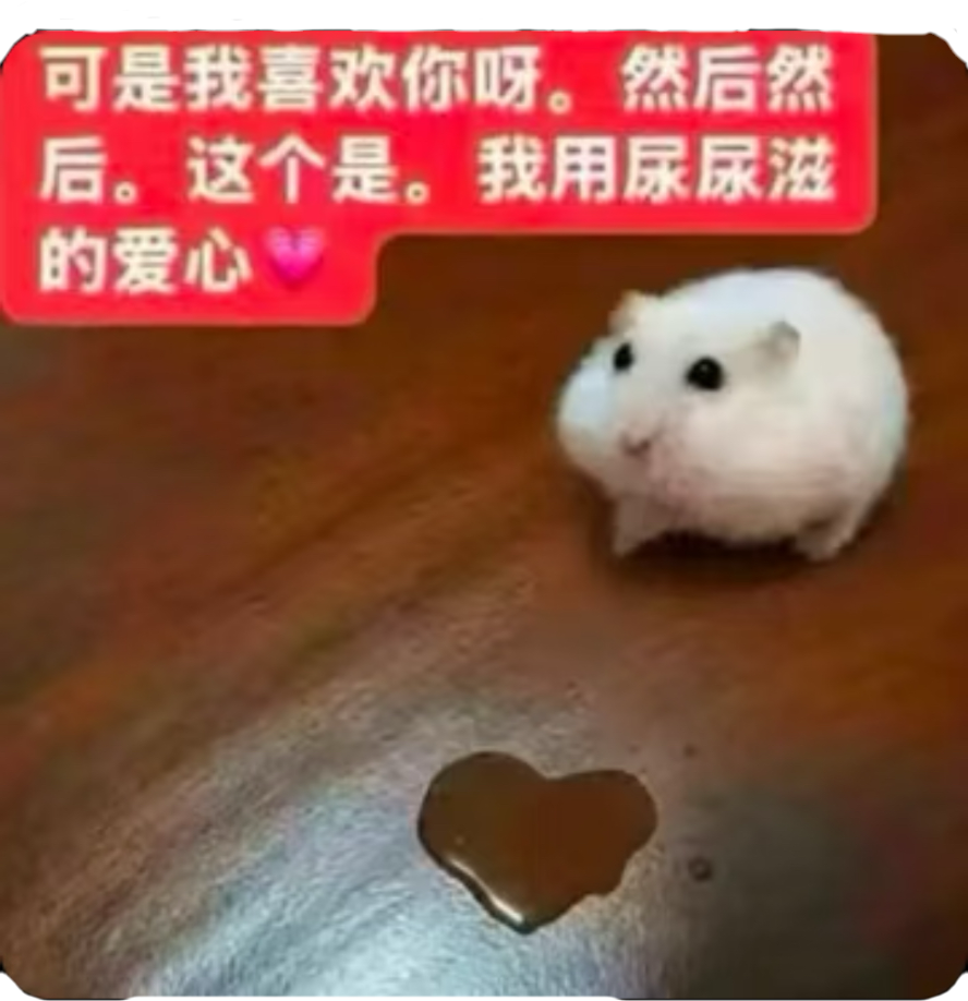 IMG_1320.png