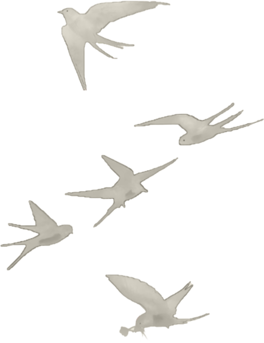 retouch_2026090501494625.png
