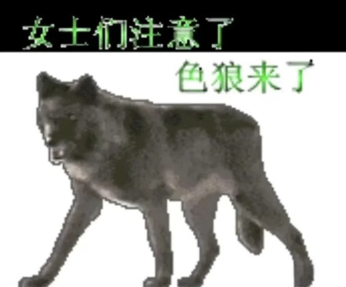 IMG_6656.jpeg