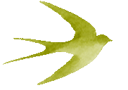 001.gif