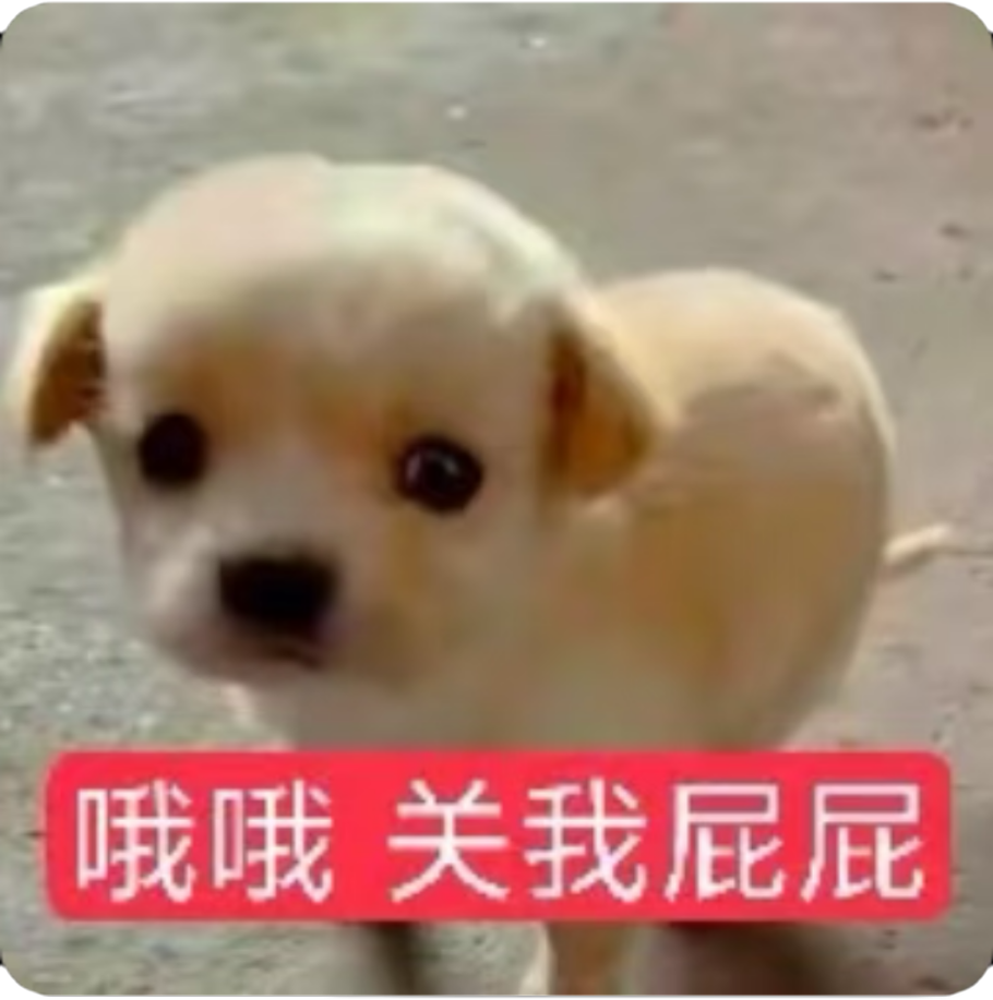 IMG_1321.png