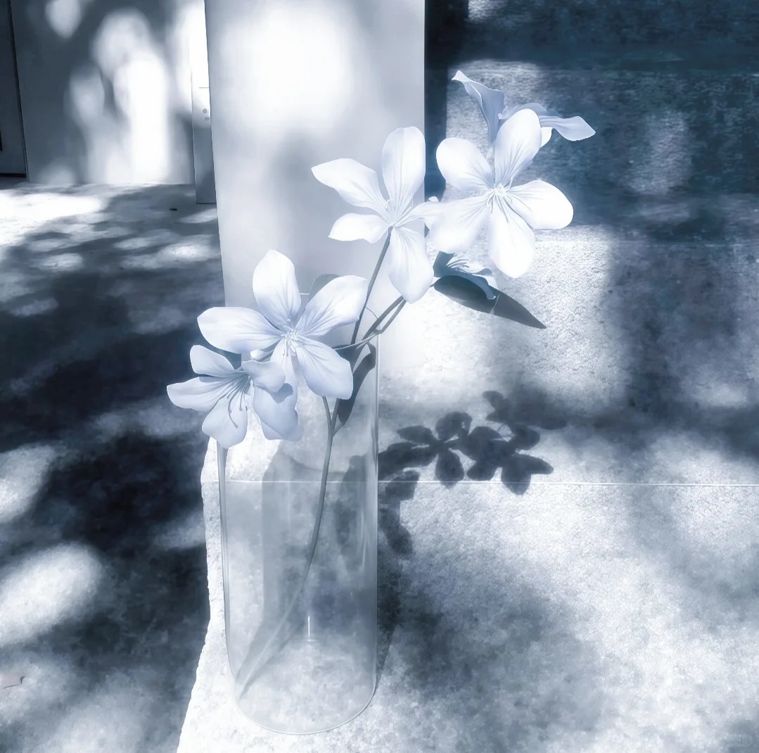 ‧₊ 𐙚ﾟ桜 ⁺˚.⋆_1_藍色柳耵_来自小红书网页版.jpg