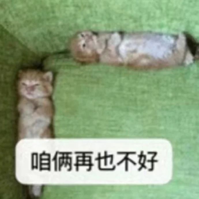 哼 我现在是全世界倒数第一喜欢你了！_1_OvO_GanGan_来自小红书网页版.jpg