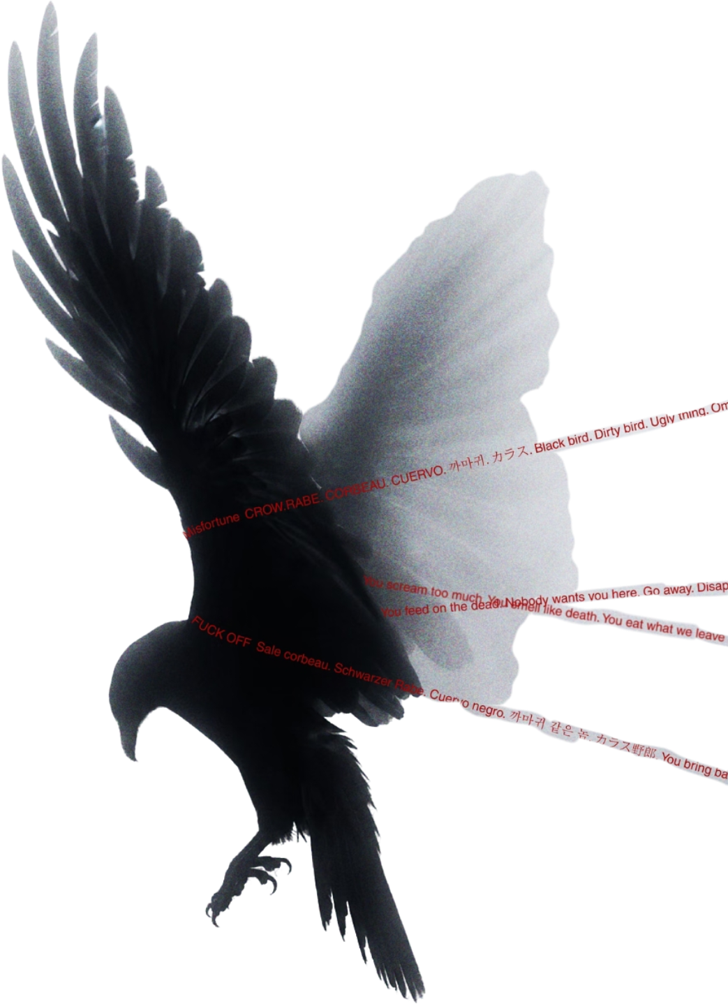 retouch_2026090616373781.png