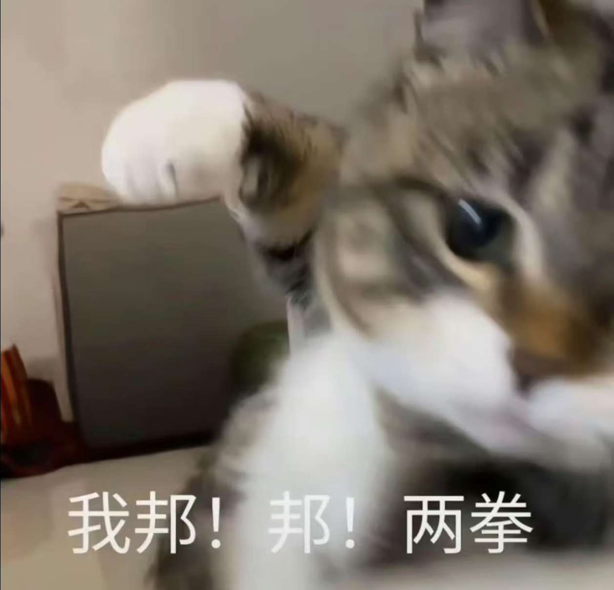 Screenshot_2026_0906_135849.png