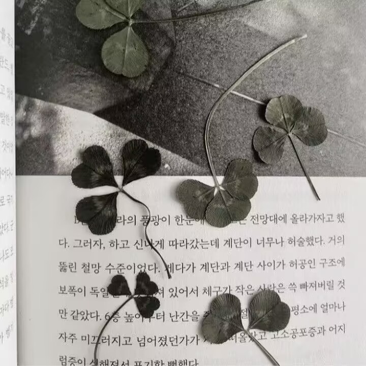 1000120880.jpg