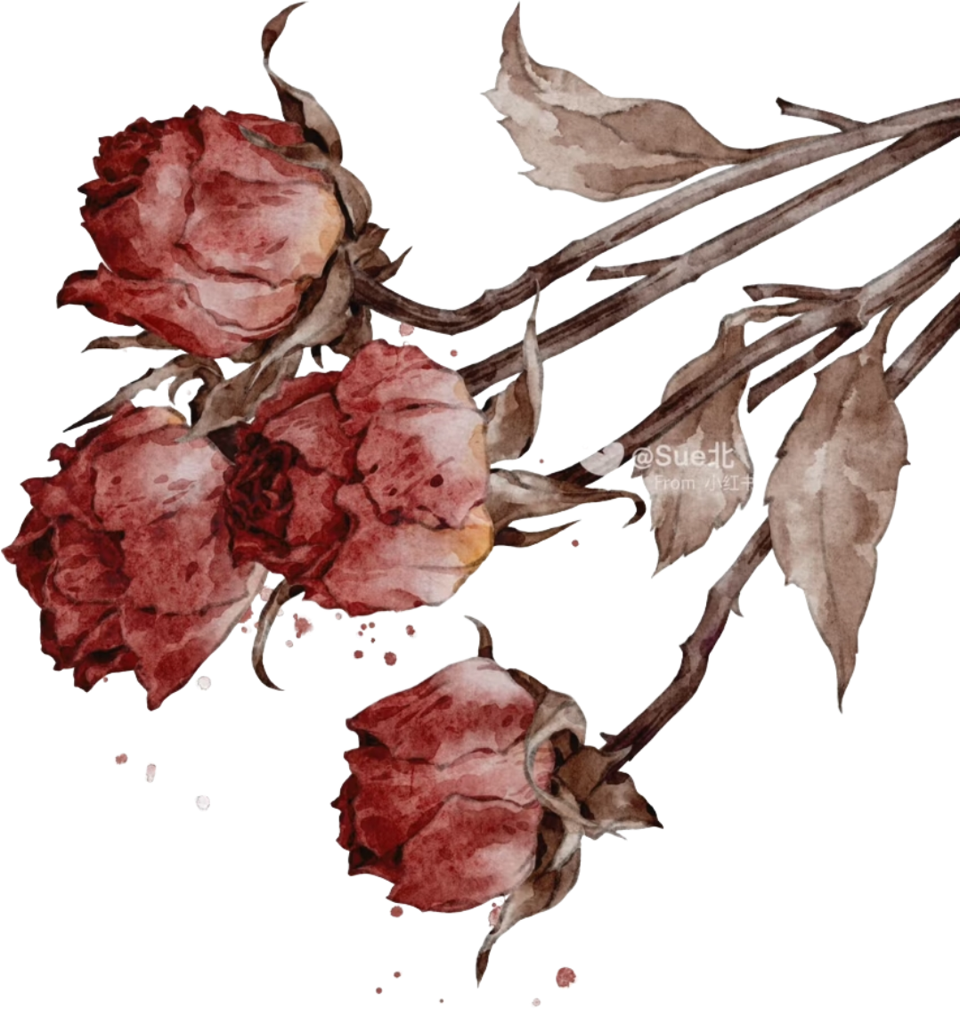 retouch_2026090618194794.png