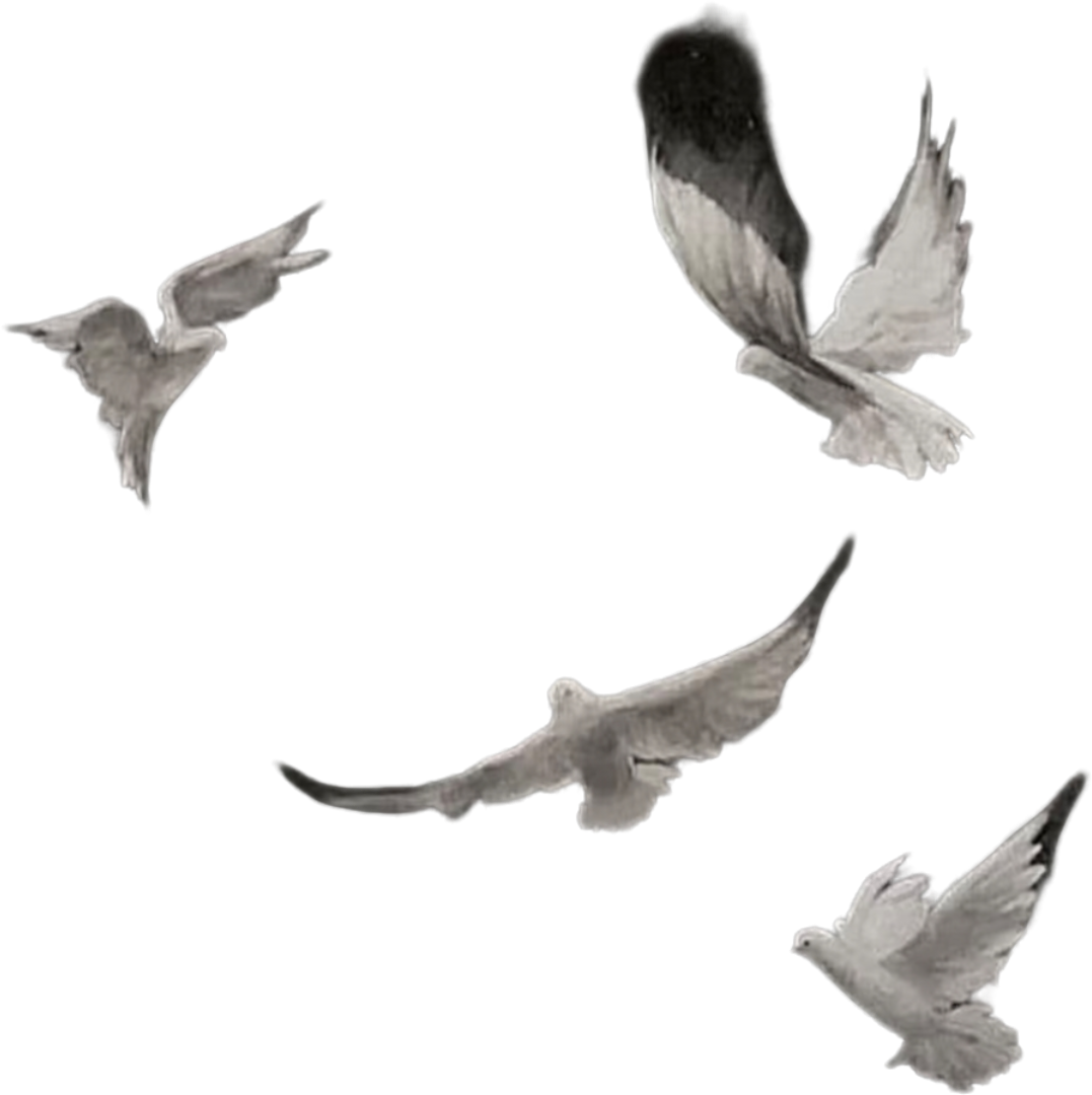 retouch_2026090616513269.png