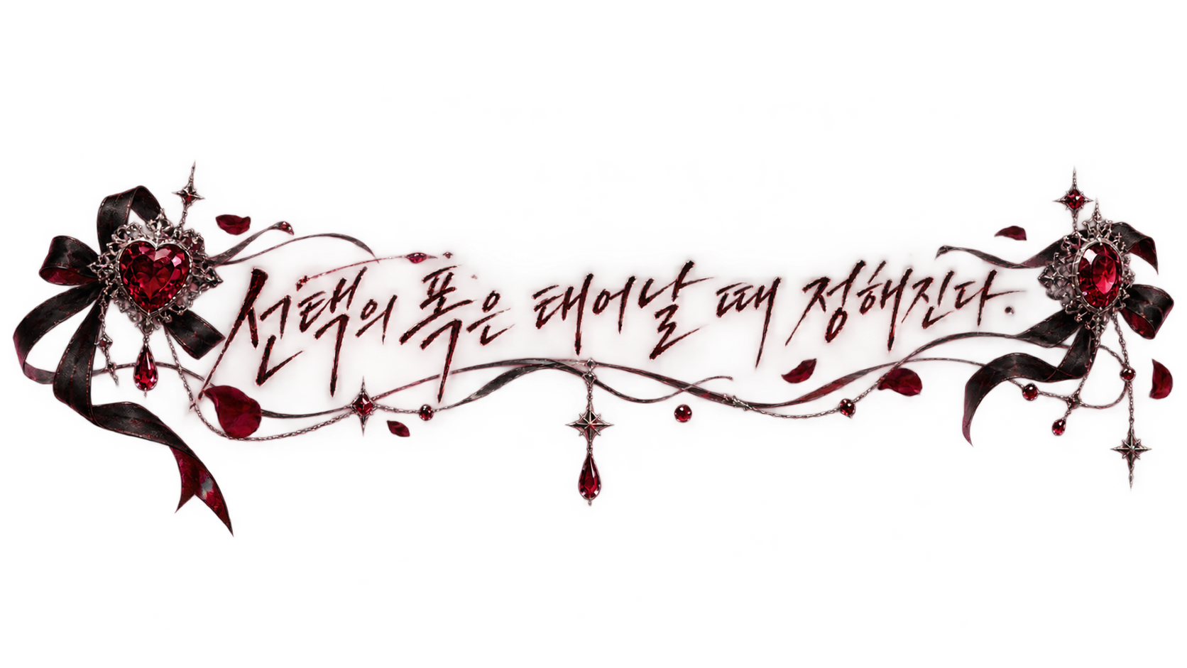 IMG_2966.png