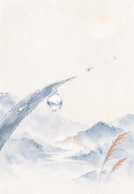 005.gif